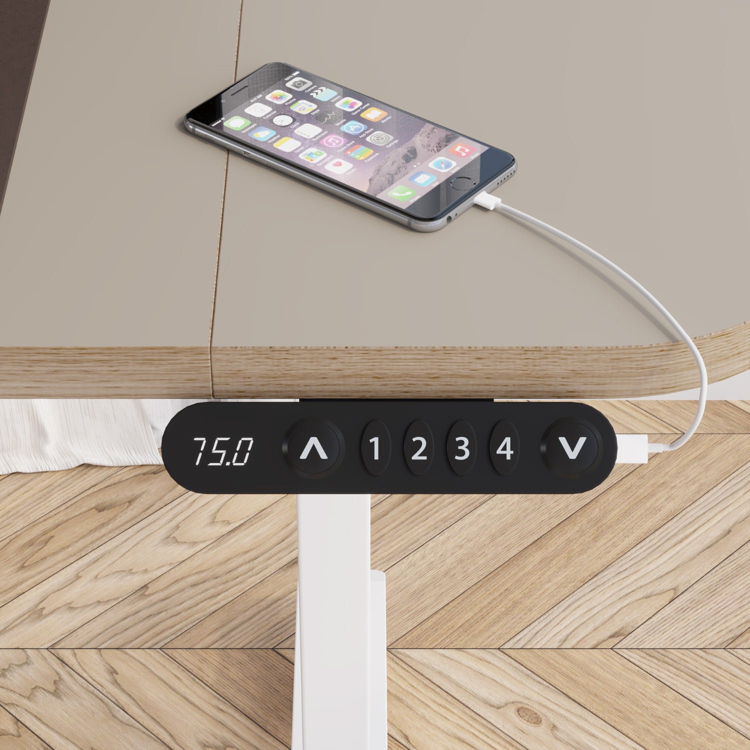 Radlove Electric Standing Desk with Power Strip & Privacy Screen(Gray), 63 Inch Workstation, Large Mouse Pad & 4-Preset Memory Buttons, Quiet Adjustable Desk for Dual Monitors