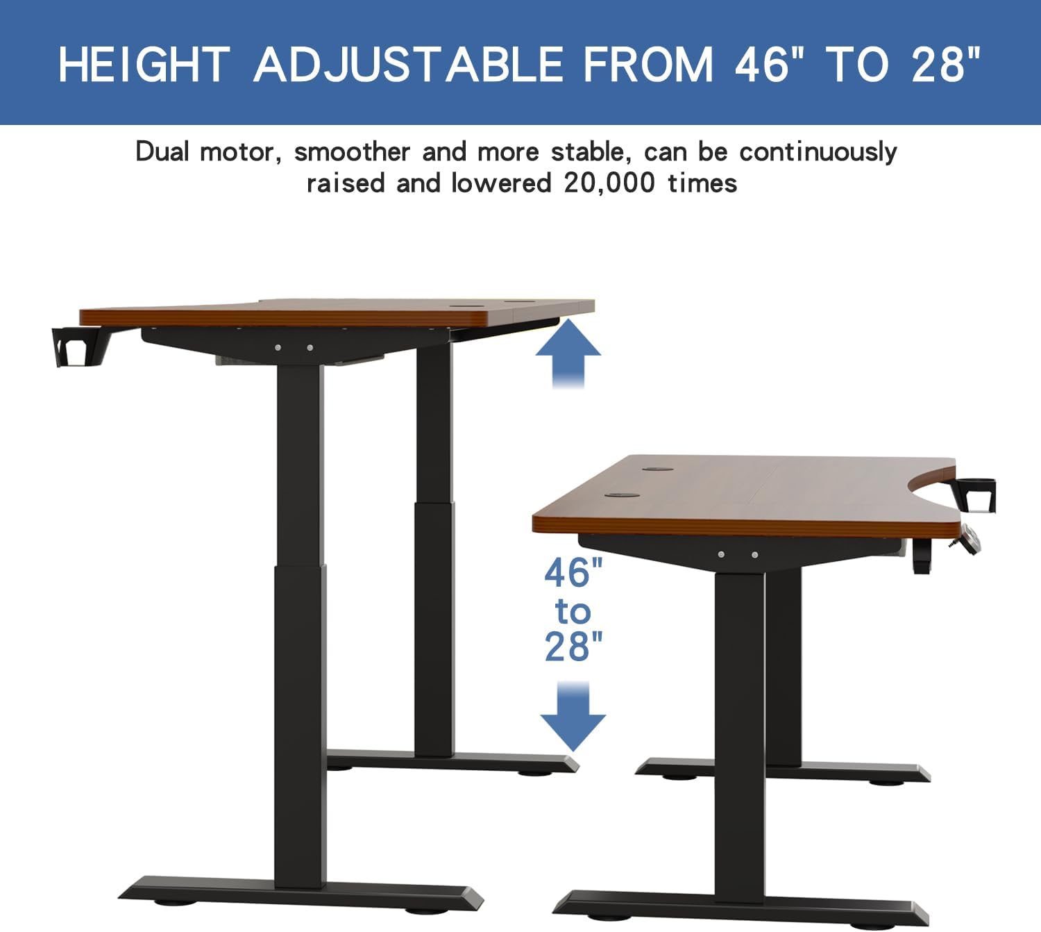 Radlove 63" x 30" Premium Dual Motor Height Adjustable Electric Sit and Stand for Work Benches with Drawer, Oak