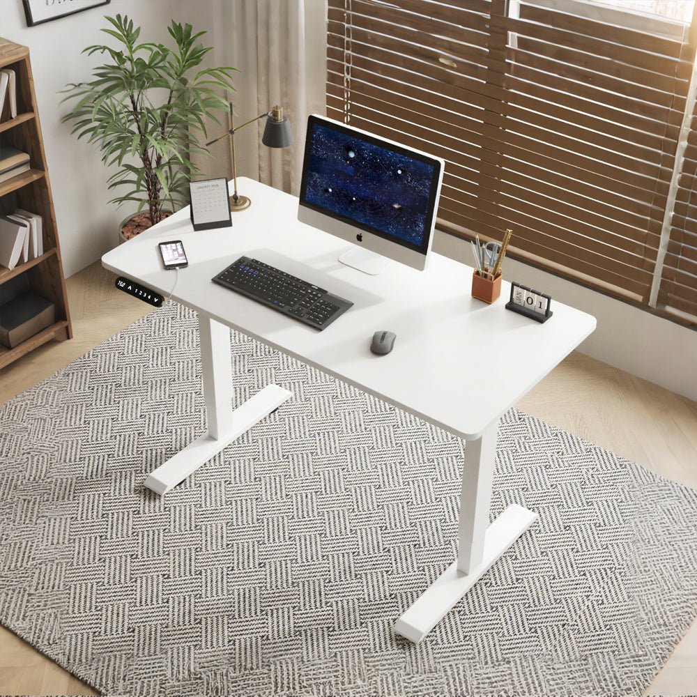 Radlove 55" x 24" Electric Standing Desks, Height Adjustable Office Tables with Splice Board and A Under Desk Cable Management Tray with Wheels, Brown or Oak