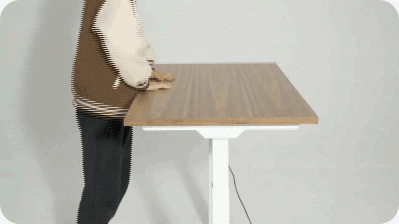 Radlove 48" x 24" Electric Standing Desks, Height Adjustable Office Tables with Splice Board and A Under Desk Cable Management Tray with Wheels, Brown or Oak