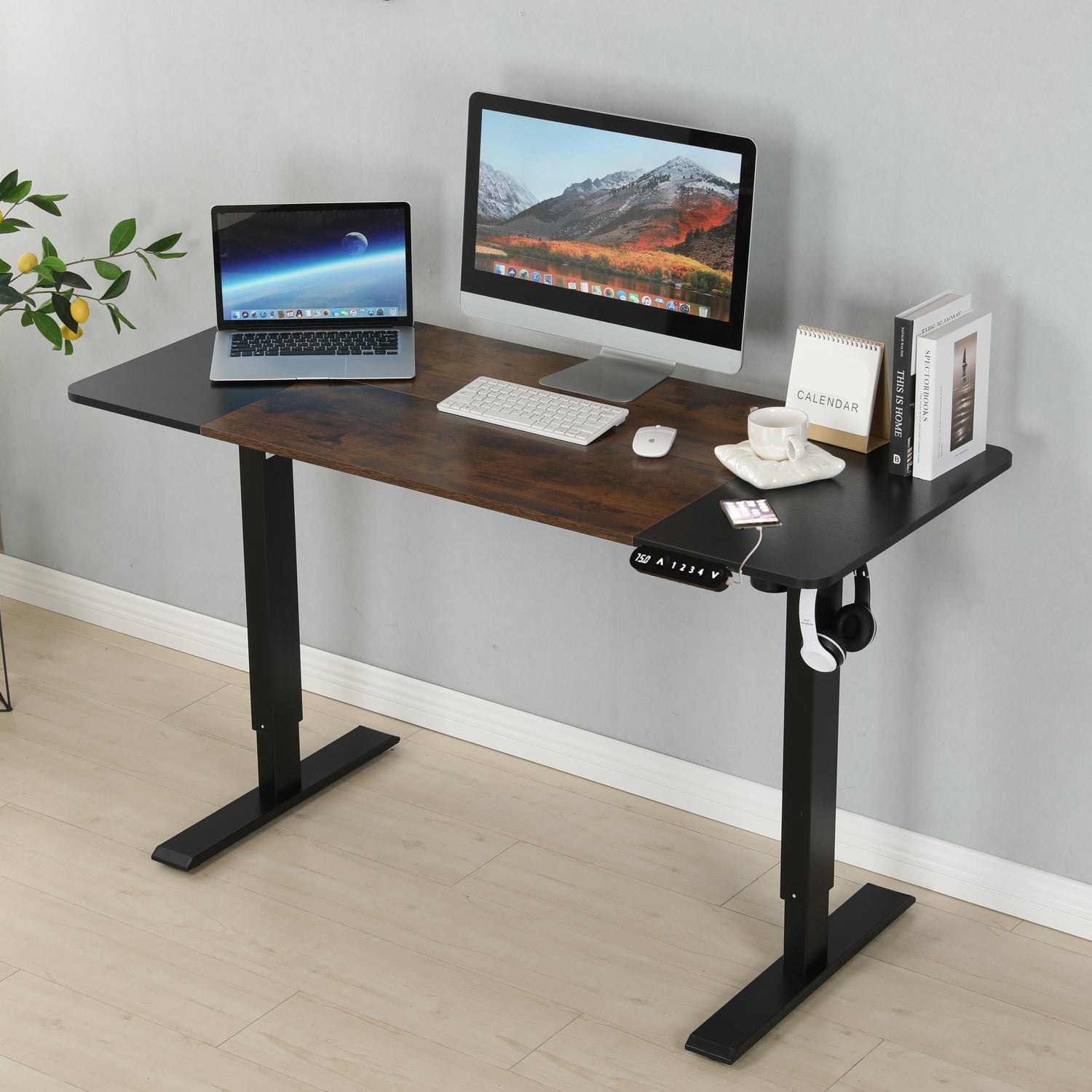 Radlove 55" x 24" Electric Standing Desks, Height Adjustable Office Tables with Splice Board and A Under Desk Cable Management Tray with Wheels, Brown or Oak
