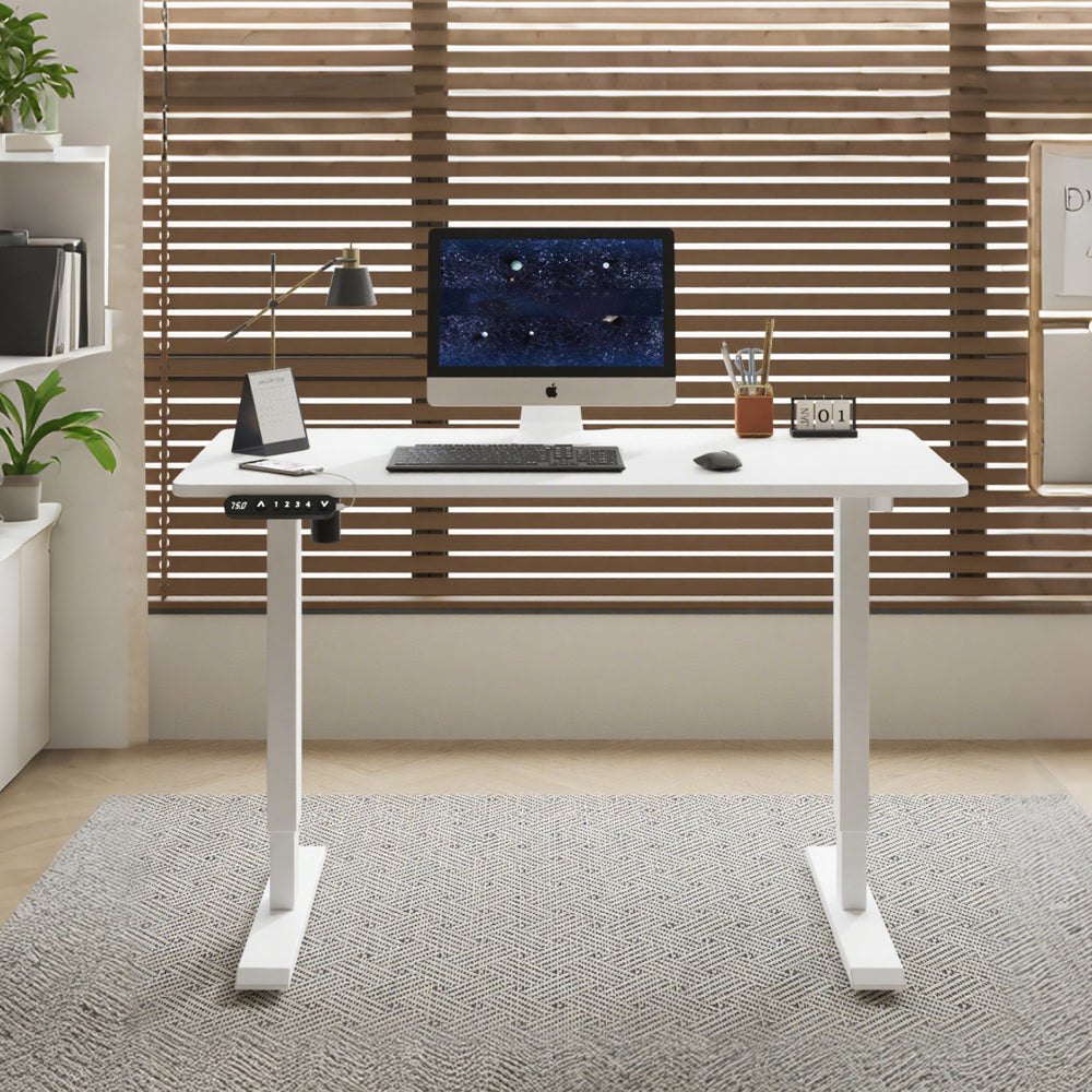 Radlove 55" x 24" Electric Standing Desks, Height Adjustable Office Tables with Splice Board and A Under Desk Cable Management Tray with Wheels, Brown or Oak